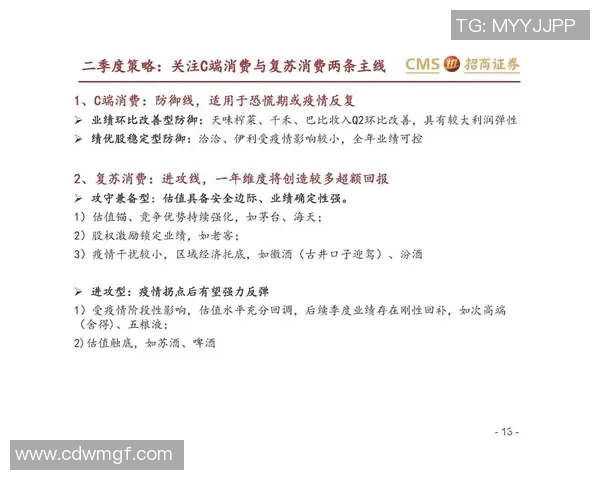 上海排球队的快速进攻与防守策略分析探讨